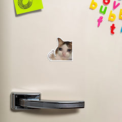 Everything’s good cat Sticker